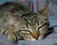 /album/fotogaleria/images-8-jpg/